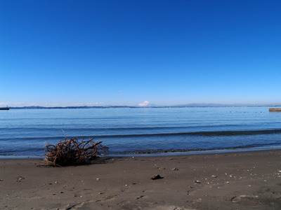 20060916.jpg
