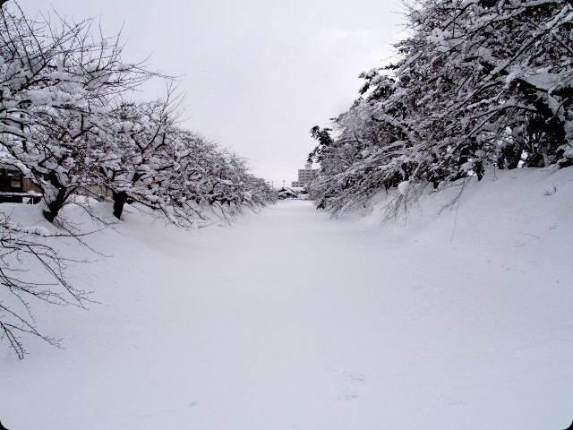 弘前２