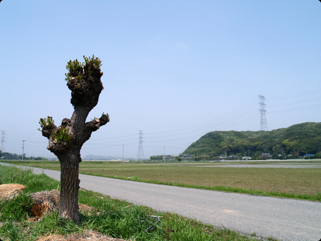 田園１