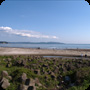 海辺 (1pic)